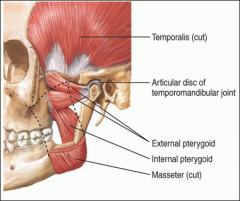 Opening the mouth - external pterygoids. 
Closing the mouth - masseter, temporalis, internal pterygoids

Innervated by CN V (trigeminal nerve)