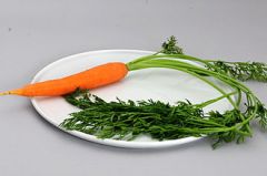 They are usually short and have green and tender stem, which may or may not have branches like beet and carrot.
