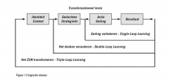 niveau 1. single-loop learning (het niveau van zien)
niveau 2. double-loop learning (het niveau van horen en zien)
niveau 3. triple-loop learning (het niveau van voelen, horen en zien)