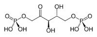 2. Ribulose biphosphate