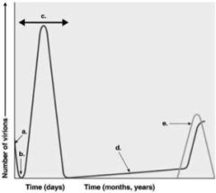 Assume a patient has influenza. During which
time on the graph in Figure 13.2 would the patient show the symptoms of the
illness?  
