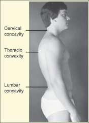 Increased thoracic kyphosis occurs with:
- Aging
- Osteoporosis
- In children, it is a correctable structural deformity and should be pursued.