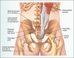 Spinous processes (with thumb) – noting any “step off’s” (slips) of spondylolisthesis (displaced discs) – forward slippage of one vertebrae can compress spinal cord

Cervical facet joints (relaxed neck)

Sacroiliac joint – tenderne...