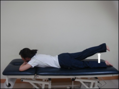Lie face down, then bend your knee and lift it up.

With the patient lying face down, extend the thigh toward you in a posterior direction. 

Alternatively, carefully position the supine patient near the edge of the table and extend the leg po...