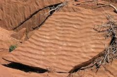 Are characteristics of shallow water deposition, they are caused by waves or winds pulling up the sediments into long ridges. 
