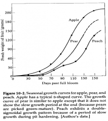 The apple and pear in the graph provided