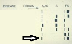 Interpret the electrophoresis the arrow is pointing at