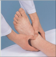 With thumbs, palpate anterior ankle joint. 
- Note for bogginess, edema, or tenderness. 
Achilles tendon for nodules and tenderness
Heel 
– posterior/inferior calcaneus and plantar fascia
Medial and lateral malleolus
Metatarsophalangeal jo...