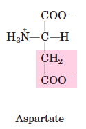 ASP
D
negative charge
hydrophilic