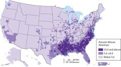 An analysis of this map indicates that African Americans are clustered in what part of North Carolina?
