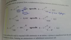 They are prepared by a condensation reaction between a carboxylic acid and an amine.

