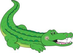 EL COCODRILO (the crocodile)