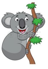 EL KOALA (the koala)