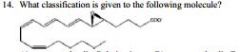 A) a prostaglandin G derivative B) a prostaglandin E derivative C) a leukotriene D) a thromboxane E) none of the 
above