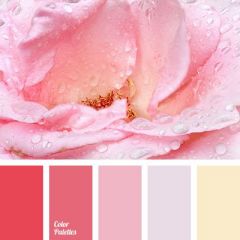 Very pale pink (almost colourless)