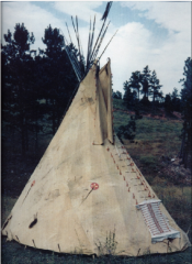North Plains ti-pi*

•	Conical skeleton that was covered by bison skins, had openings near the top to allow smoke to exit
•	Not circular, but more open in shape
•	Easy to set up, and it was also demountable quickly and could be transport...