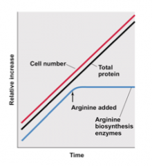 Cell downregulates production of arginine biosynthesis enymes if there is a surplus of arginine 