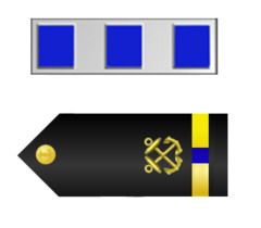 1 SILVER BAR WITH 3 BLUE BARS

1 GOLD STRIPE WITH 1 BLUE STREAK