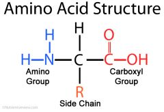 Central C atom is bonded to: Amine group(-NH2) , Carboxyl group(-COOH) ,hydrogen atom, R group