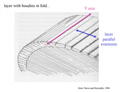 Boudins: Roughly perpendicular to the x-axis of strain, necks are parallel to y-axis.