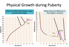 Growth spurt happens first with female at around age 11, while growth spurt happens at around age 13 for males. Physical growth then ends later for male than female. 