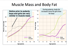 -Muscle mass increases more for guys during adolescence 
-Body fat increases more for girls during adolescence