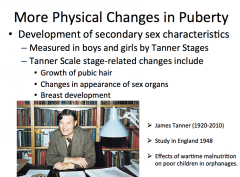 It's a form of scale to measure physical development in children, adolescents, and adults 


- growth pubic hair
- changes in appearance of sex organs 
- breast development