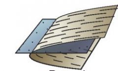 3. Recumbent: Dip of axial surface recumbent and plunge of hingeline is horizontal, less than 10 degrees.