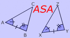 2 angles and the included side are congruent to the 2 angles and included side of the other 
triangle