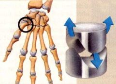 Saddle type synovial joint