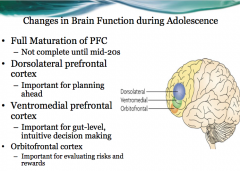 dorsolateral prefrontal cortex: 
-planning

ventromedial prefrontal cortex:
-gut feeling
-intuition

orbitofrontal prefrontal cortex:
-evaluates of risks and rewards 

