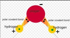 A covalent bond where, as in H2O, there is an atom that is more electronegative which causes a slight imbalance in charges on the atoms. In H2O, Oxygen is more electronegative and hogs Hydrogen's electrons, leaving Oxygen with a slightly negative ...