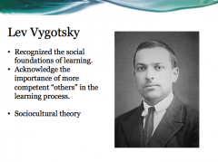 What is the Vygotskian theory? 