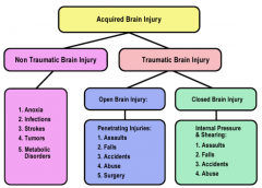  -Secondary
brain injuries occur after a brain is injured and include alterations in 
  -Cerebral blood
flow 
  -Intracranial
pressure 
  -Oxygen
delivery