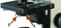Name and Function on Brightfield Microscope