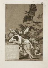 Etching by Goya
"Dreams are way of releasing mind from constraints of everyday experience and bringing to surface those dark visions reason had submerged