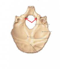 Name the bony marking. CN XII passes through the occipital condyle through this foramen to enter the skull. 