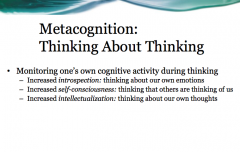 The idea of thinking about thinking 
-introspection: thinking about own emotions
-self-consciousness: thinking of what people are thinking of us
-intellectualization: thinking about own thoughts 
