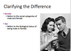Gender: social categories of males and females
Sex: biological status of male or female (what's between the legs