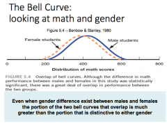 Females have lower scores than males; probably due to the fact that women are stereotypically perceived to not engage in mathematics because math is more appropriate for males 