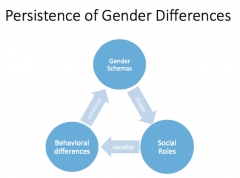 -gender schemas shape social roles
-social roles socialize behavioral differences
-behavioral differences reinforce gender schemas 