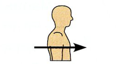 Toward or at the front of the body; in front of.