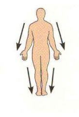 Farther from the origin of the body part or the point of attachment to the limb to the body trunk. 