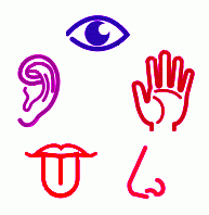 Eyes - Sight and light.
Ears - Hearing and balance.
Nose - Smell.
Tongue - Taste. 
Skin - Touch, pressure and temperature.