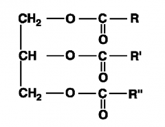 מולקולה הנקראת Triacylglycerol.
