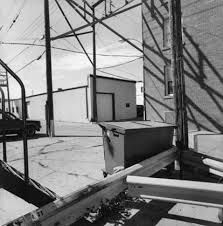 The real space of an object/figure in an environment, as well as the seemingly real appearance of a form drawn/painted to create a sense of real-life illusion on a 2D space. 
 
Ex. Lee Friedlander - Bismarck, North Dakota