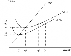 

Refer to Figure 14-6. When market price is P3, a profit-maximizing firm's total costs