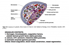 (platelet) structure:  three zones of platelet structure, peripheral, structural, and organelle