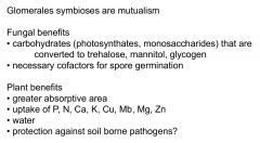 Fungal benefits: carbohydrates, cofactors for germination
Plant benefits: greater absorptive area, increased uptake of nutrients, increased uptake of water, protection against soil born pathogens