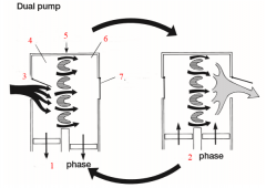 Dual Pump Mechanism